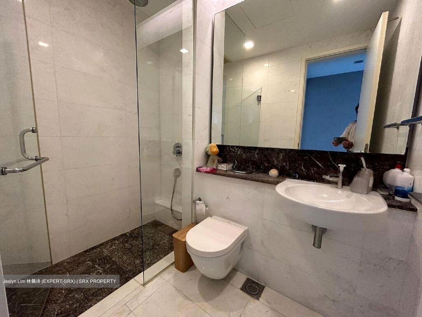 Shenton Way (D1), Condominium #460955421